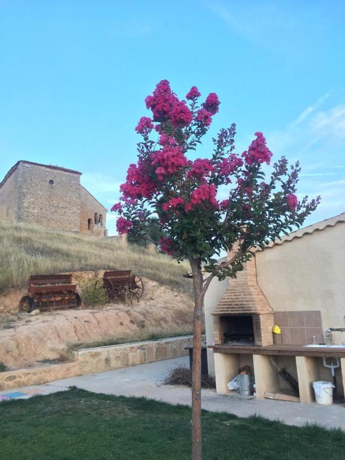 Casa Rural La Charolesa Aguilera Εξωτερικό φωτογραφία