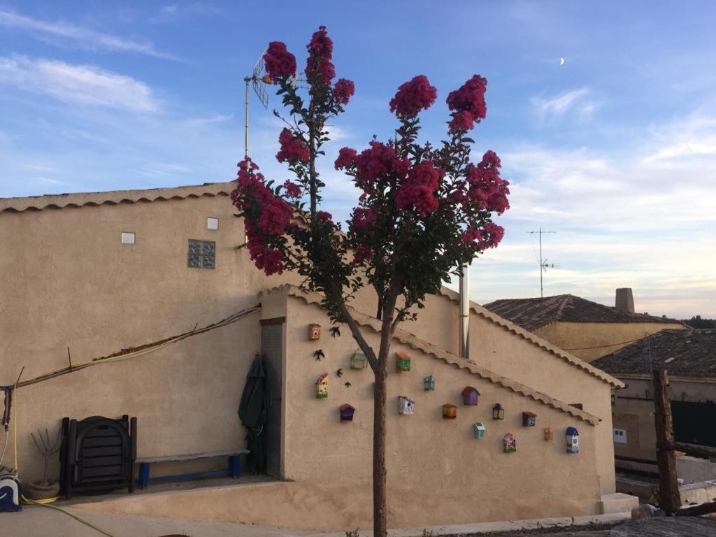 Casa Rural La Charolesa Aguilera Εξωτερικό φωτογραφία